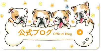 ブログ